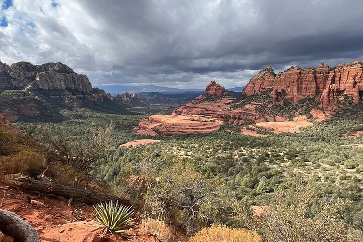 https://www.tripadvisor.com/PreviewImage?p=11&img=339513600